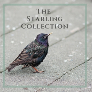 The Starling Collection